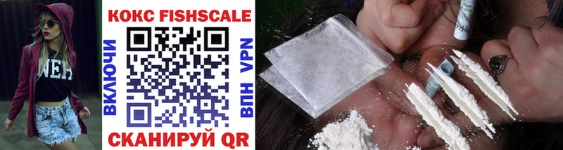 ссылка на мегу вход  Чайковский  Кокаин Fish Scale 