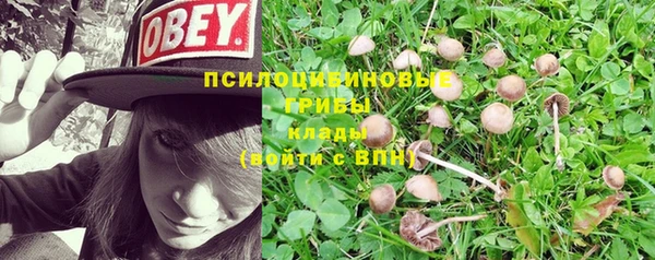 мяу мяу мука Алзамай